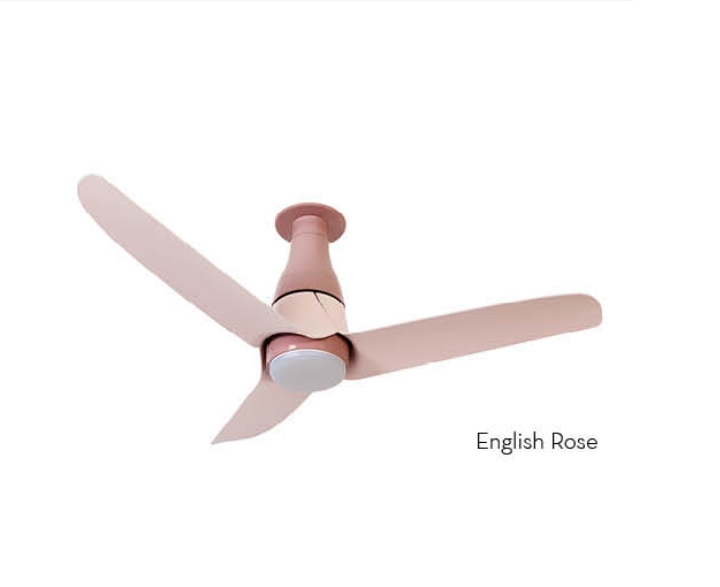 SILENTPRO BLOSSOM - ENGLISH ROSE