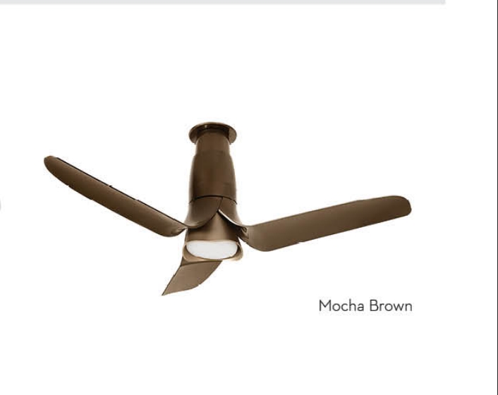 SILENTPRO BLOSSOM - SMART BROWN
